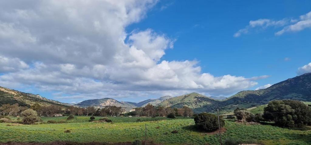 Les Collines De Lava Διαμέρισμα Appietto Εξωτερικό φωτογραφία