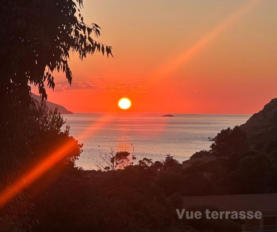 Les Collines De Lava Διαμέρισμα Appietto Δωμάτιο φωτογραφία